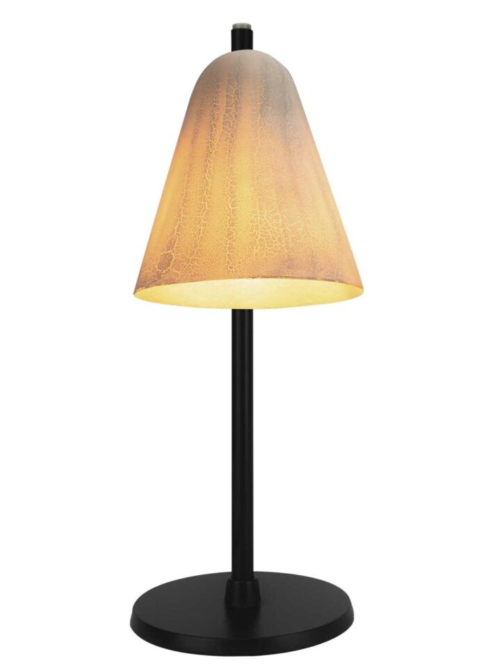 Black Table Lamp Dragonfly Shade - Light On
